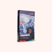 logiciel-de-broderie-platinium